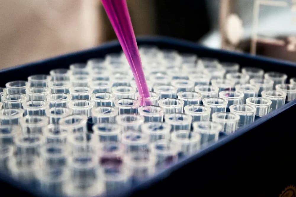 Photographie de tubes à essai dans un laboratoire par Louis Reed